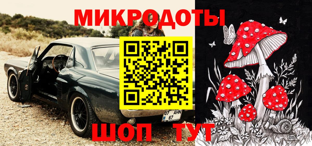 Псилоцибиновые грибы GOLDEN TEACHER Касимов